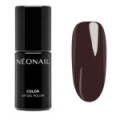 Smalto semipermanente 7,2 ml - Painted Shadows